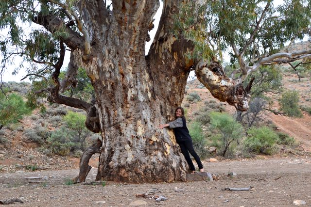 Tree-hugging hippie in Sacred Gorge