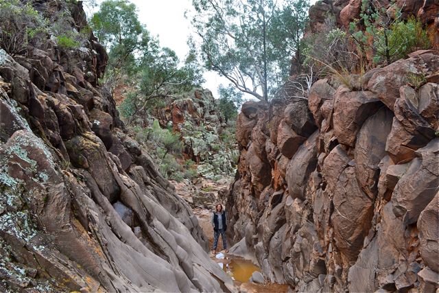 Looking for Aboriginal artwork in Sacred Gorge