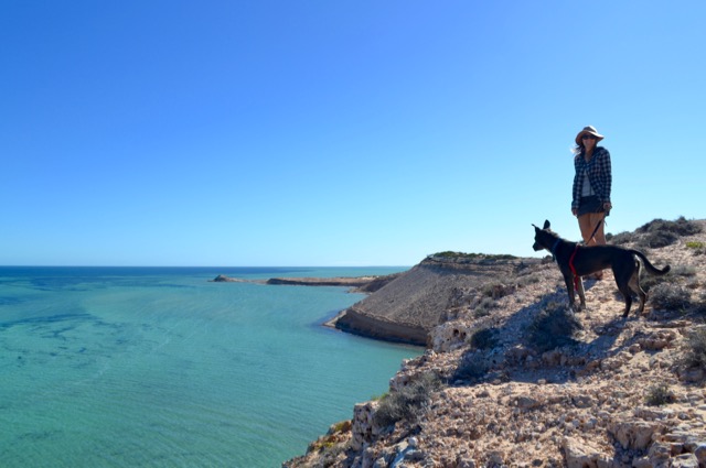 Eagle Bluff at Shark Bay