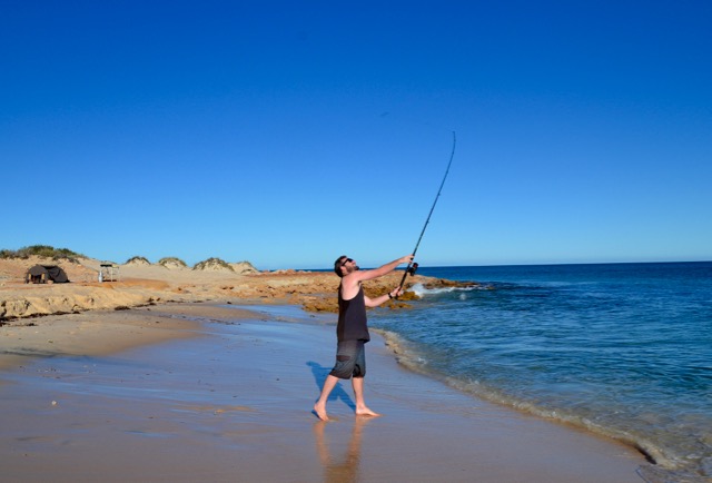 Shark Bay fishing