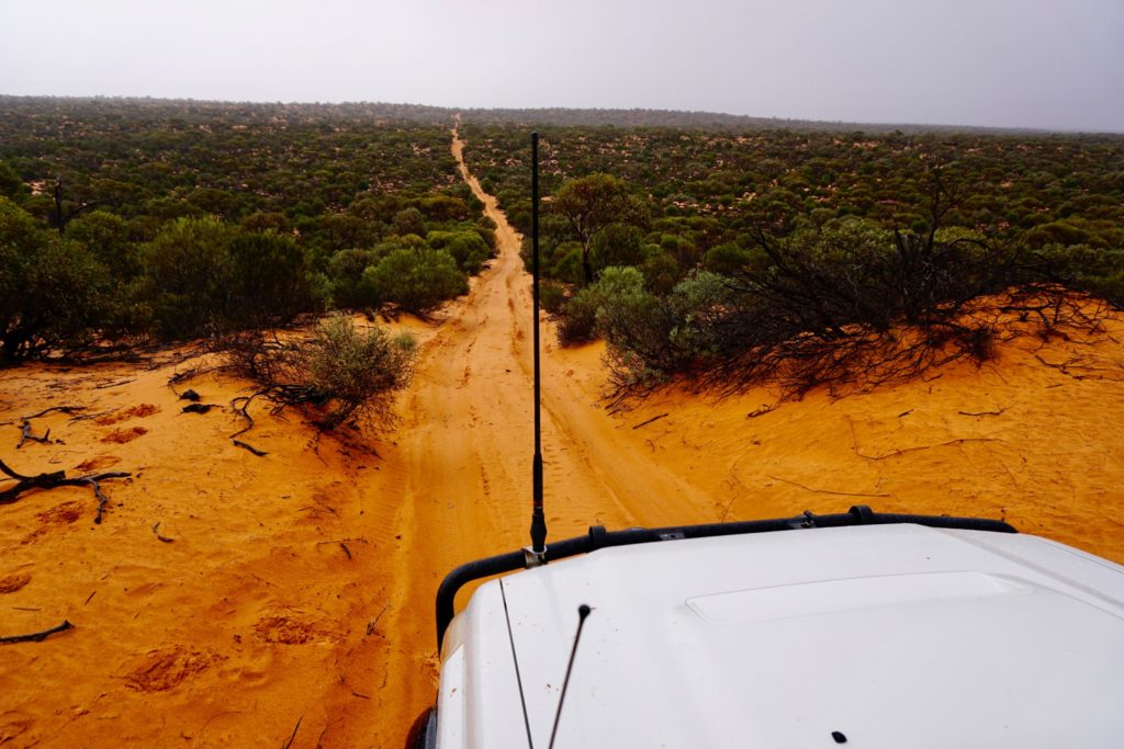 Goog's Track downhill dune